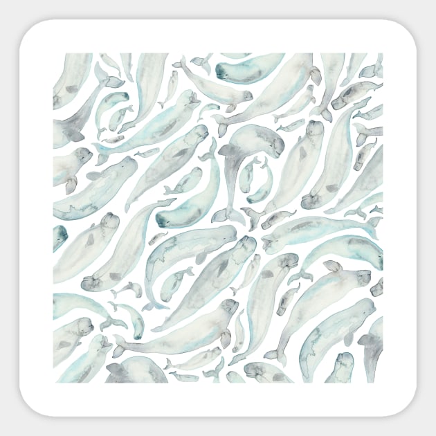 Beluga Whale Sticker by Elena_ONeill